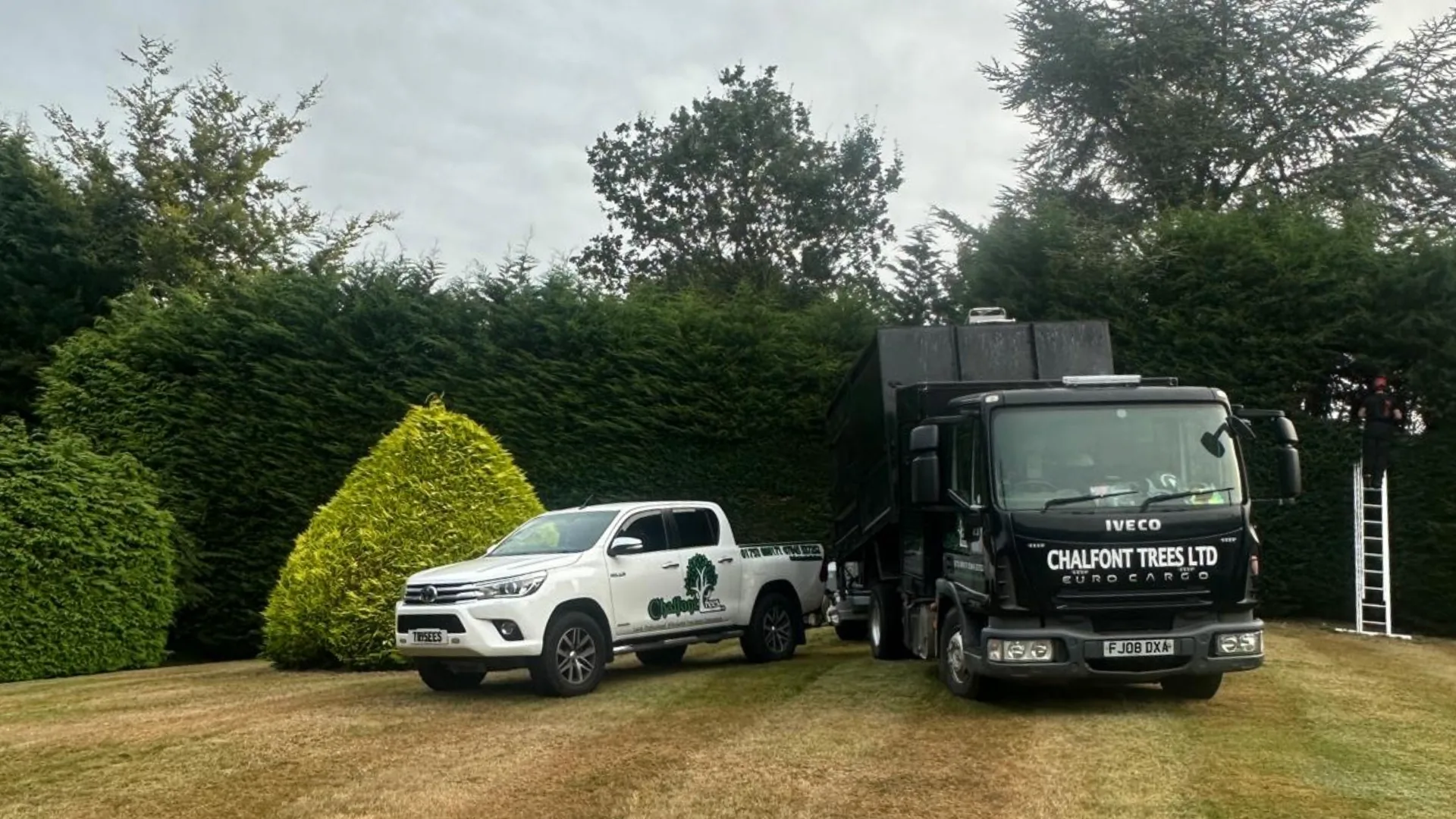 General tree and grounds work completed by Chalfont Trees team