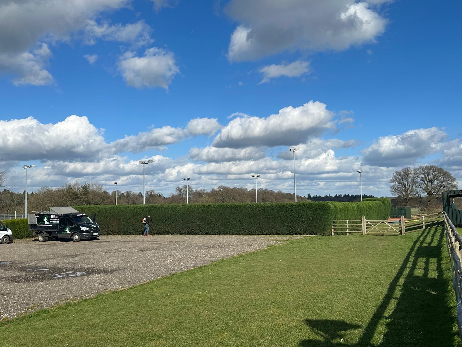 Hedge reduction with clean lines and tidy finish