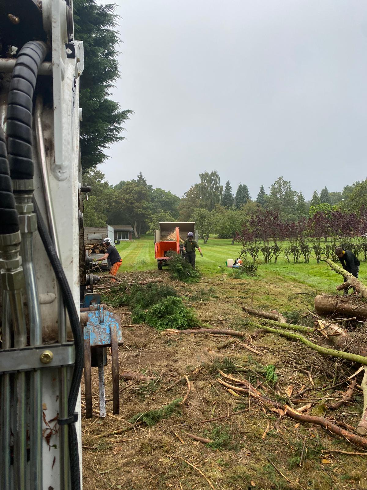 Site clearance with vegetation and waste removed from plot