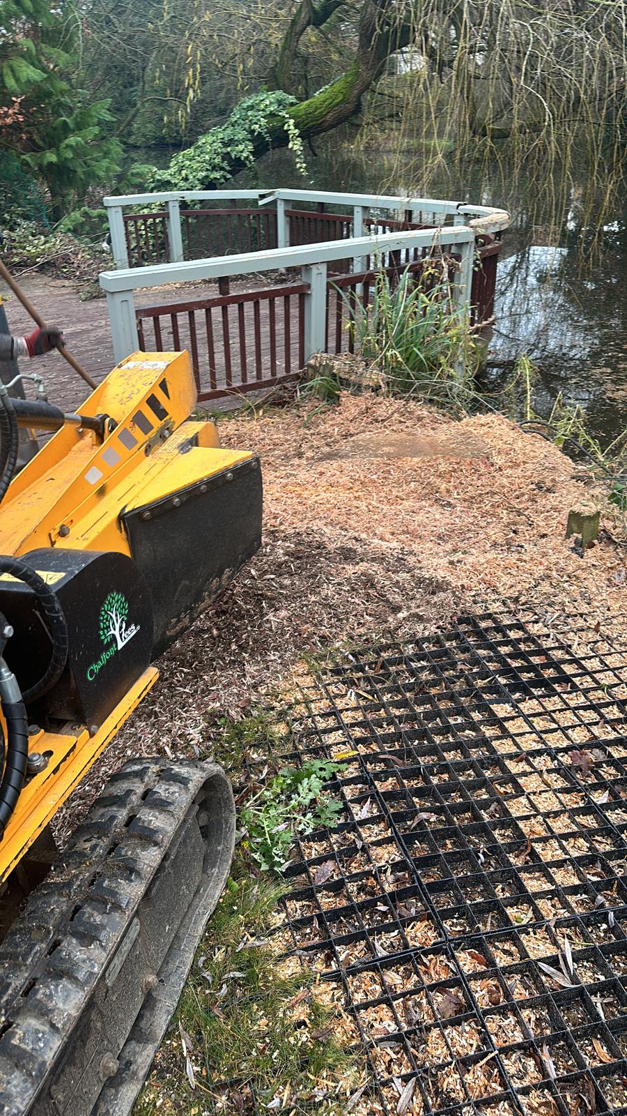 Stump grinding work clearing a cut tree stump