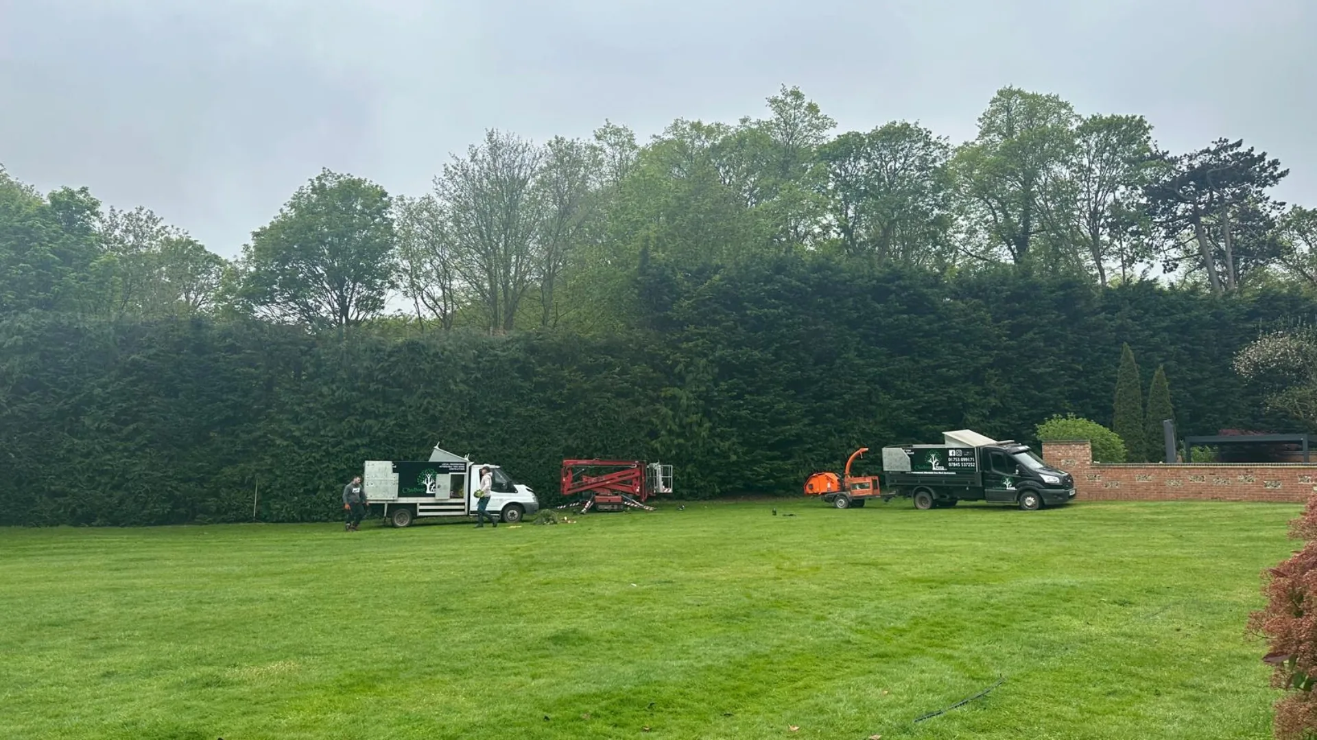 Hedge cutting at residential property