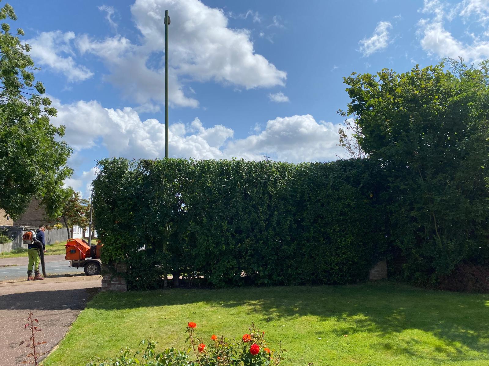 Hedge cutting at residential property