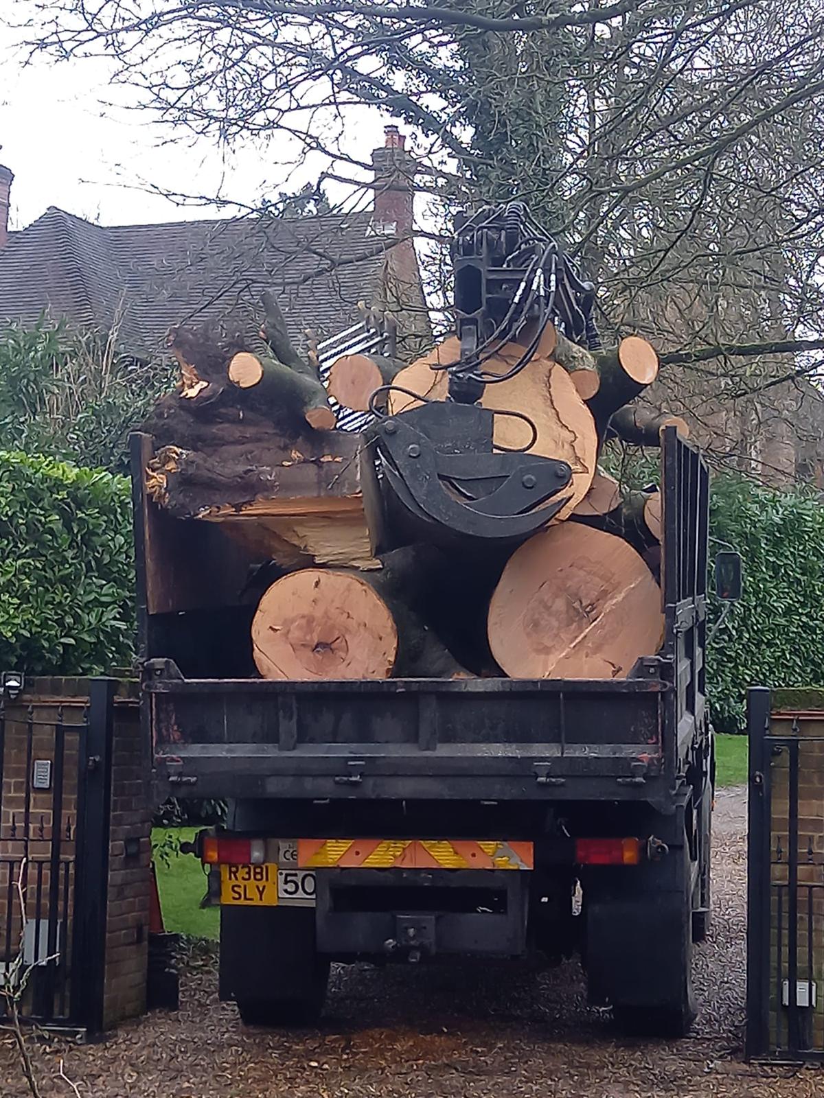 Grab lorry removing large logs from site