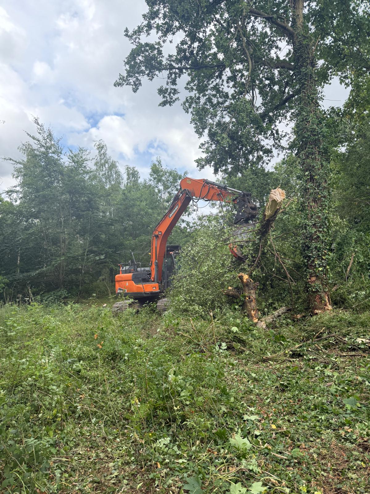 Use of heavy plant to remove vegitation.