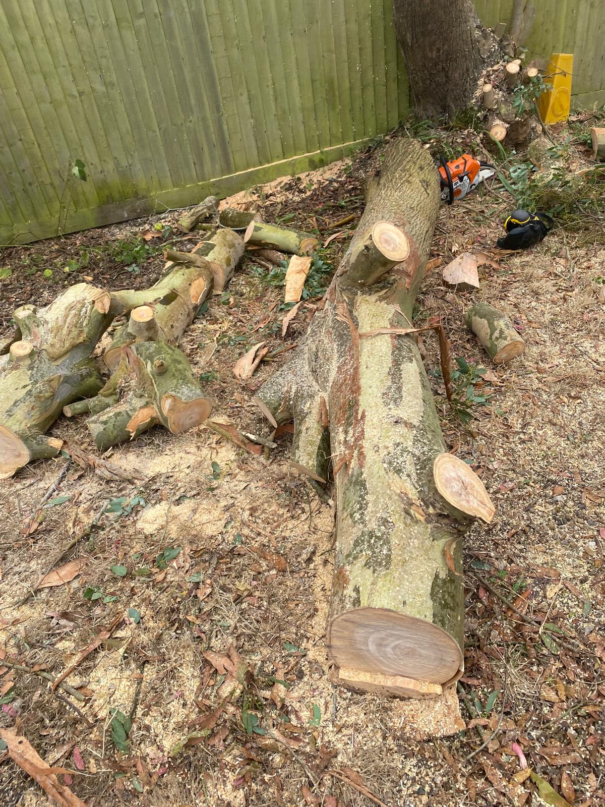 Large sections removed