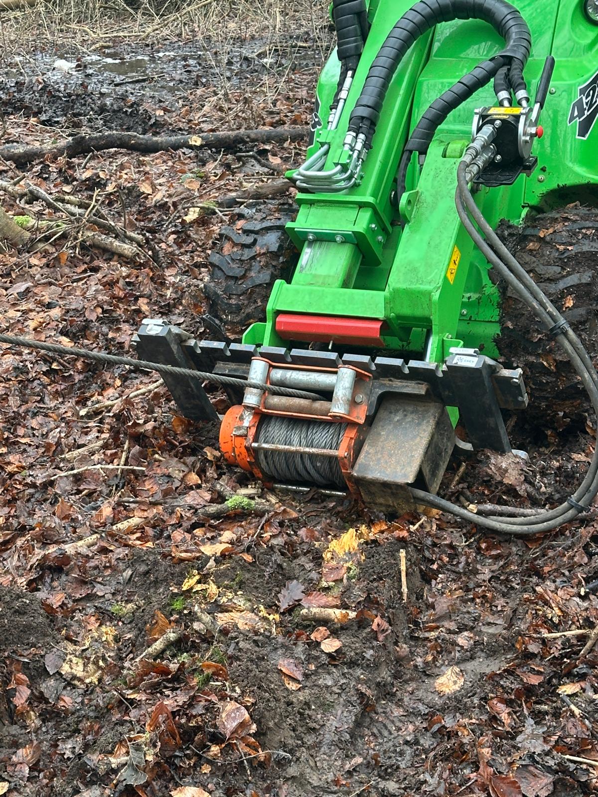 Winch safely holding dangerous tree