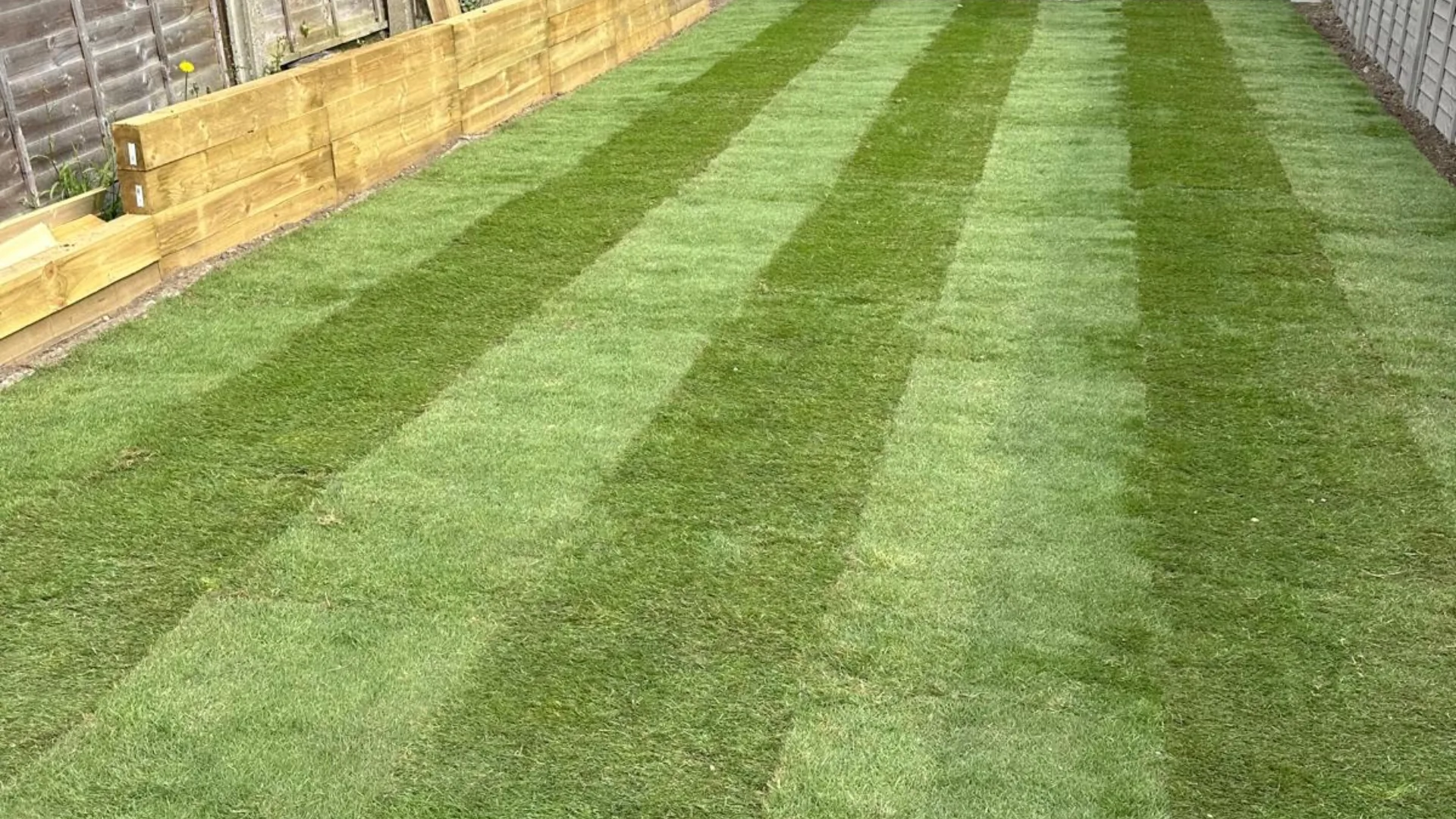 Turfing installation at residential property